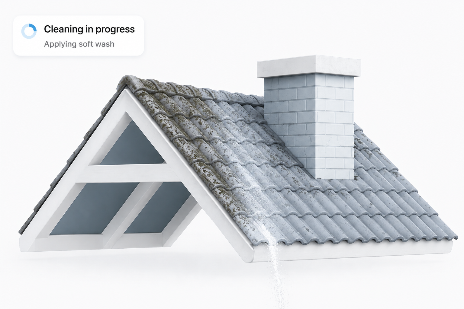 Black Streaks on Roof Cleaning